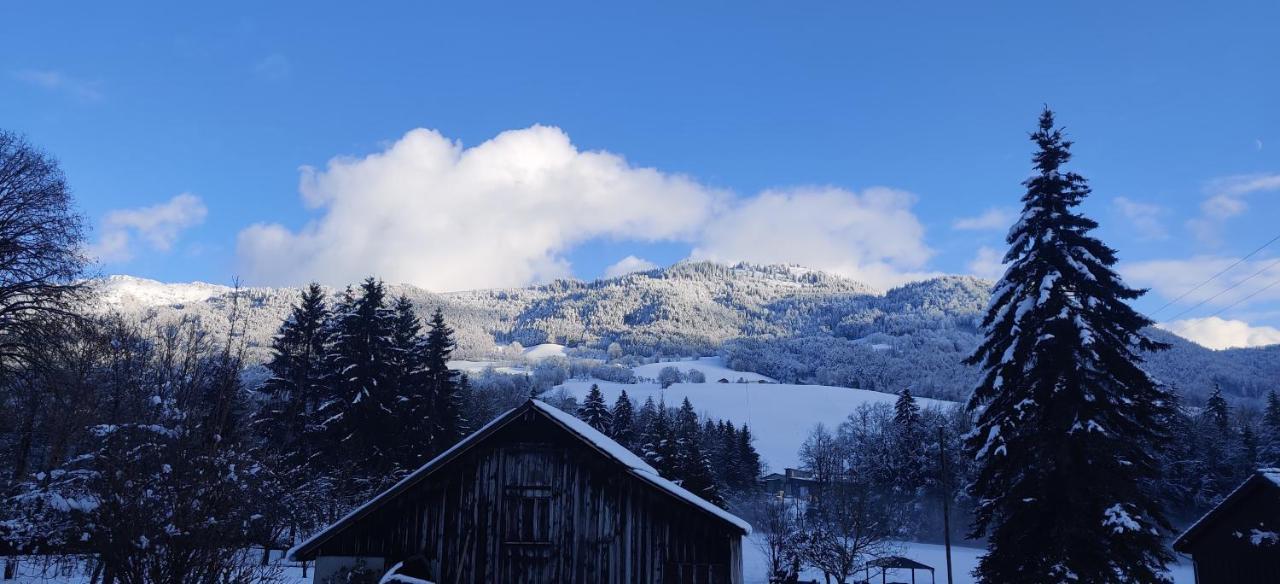 Gite Vallee Verte Burdignin Exterior photo